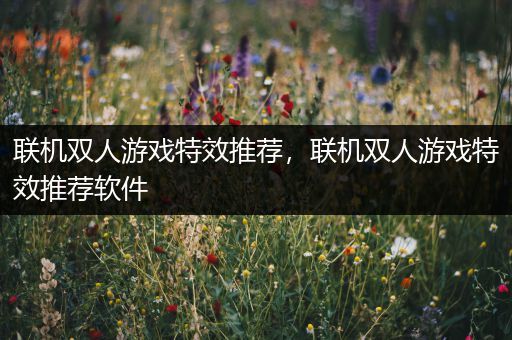 联机双人游戏特效推荐，联机双人游戏特效推荐软件