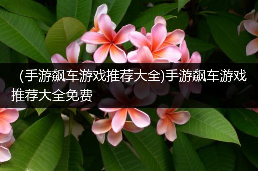 （手游飙车游戏推荐大全)手游飙车游戏推荐大全免费