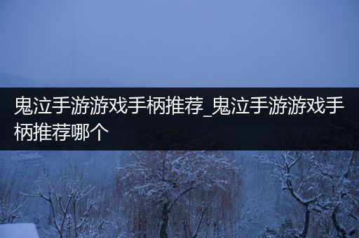 鬼泣手游游戏手柄推荐_鬼泣手游游戏手柄推荐哪个