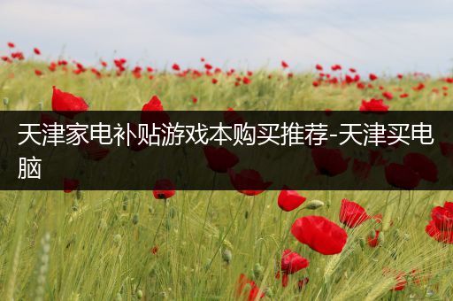 天津家电补贴游戏本购买推荐-天津买电脑