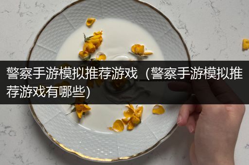 警察手游模拟推荐游戏（警察手游模拟推荐游戏有哪些）