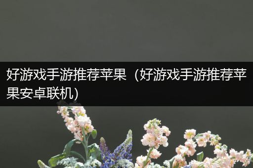 好游戏手游推荐苹果（好游戏手游推荐苹果安卓联机）
