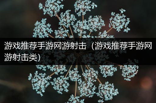 游戏推荐手游网游射击（游戏推荐手游网游射击类）