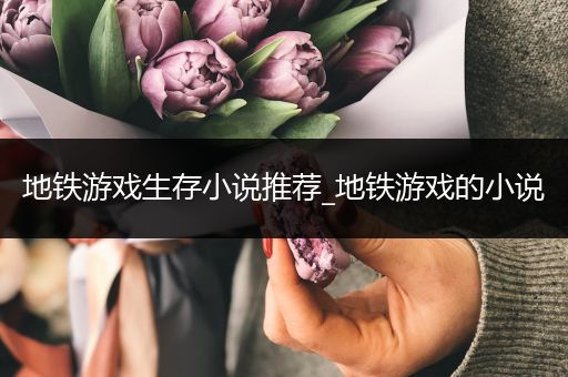 地铁游戏生存小说推荐_地铁游戏的小说