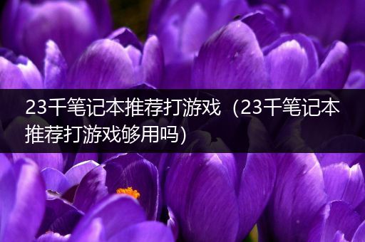 23千笔记本推荐打游戏（23千笔记本推荐打游戏够用吗）