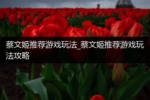 蔡文姬推荐游戏玩法_蔡文姬推荐游戏玩法攻略
