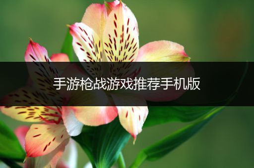 手游枪战游戏推荐手机版