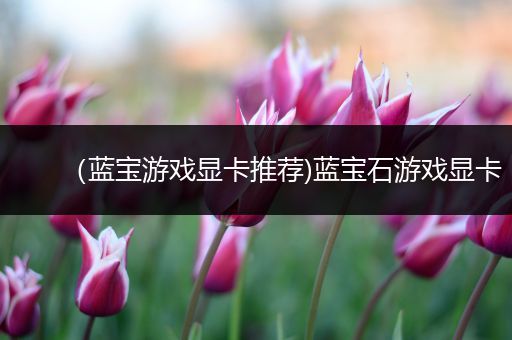 （蓝宝游戏显卡推荐)蓝宝石游戏显卡