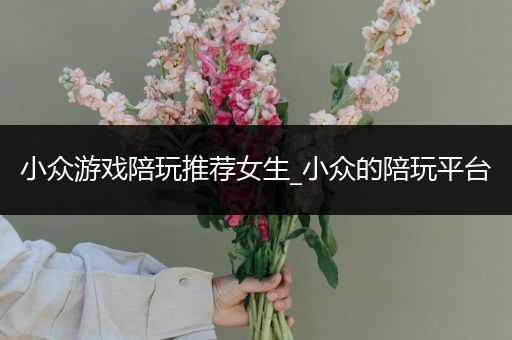 小众游戏陪玩推荐女生_小众的陪玩平台