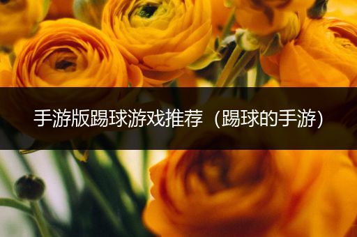 手游版踢球游戏推荐（踢球的手游）
