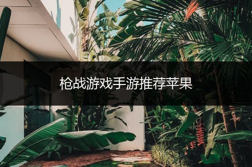 枪战游戏手游推荐苹果