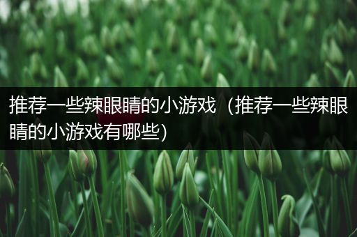 推荐一些辣眼睛的小游戏（推荐一些辣眼睛的小游戏有哪些）