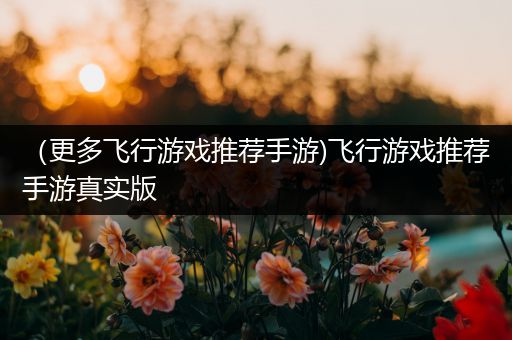 （更多飞行游戏推荐手游)飞行游戏推荐手游真实版