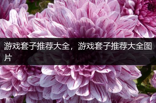 游戏套子推荐大全，游戏套子推荐大全图片