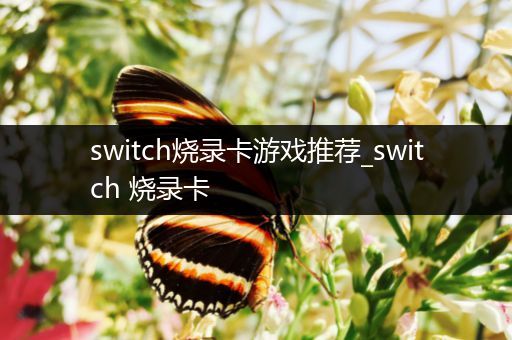 switch烧录卡游戏推荐_switch 烧录卡