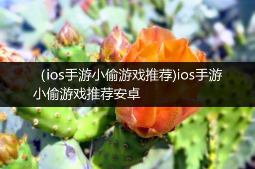 （ios手游小偷游戏推荐)ios手游小偷游戏推荐安卓