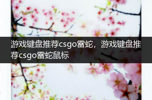 游戏键盘推荐csgo雷蛇，游戏键盘推荐csgo雷蛇鼠标