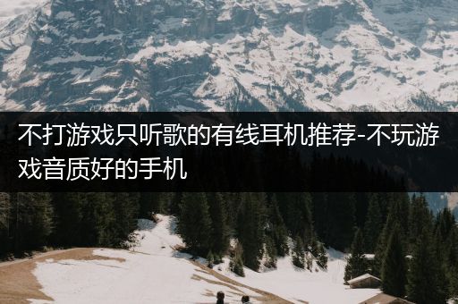 不打游戏只听歌的有线耳机推荐-不玩游戏音质好的手机