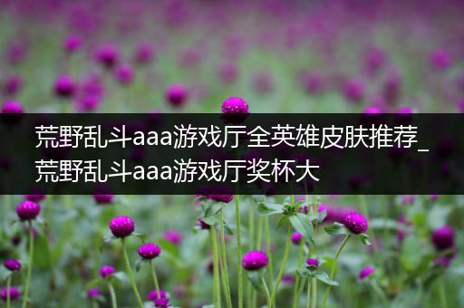 荒野乱斗aaa游戏厅全英雄皮肤推荐_荒野乱斗aaa游戏厅奖杯大