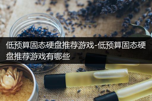 低预算固态硬盘推荐游戏-低预算固态硬盘推荐游戏有哪些