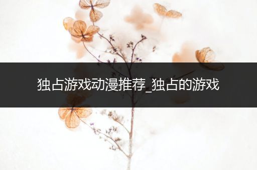 独占游戏动漫推荐_独占的游戏