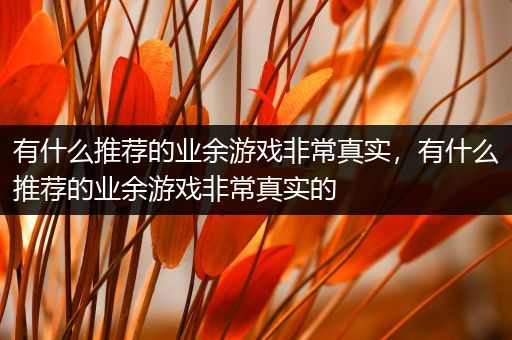 有什么推荐的业余游戏非常真实，有什么推荐的业余游戏非常真实的