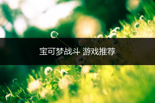 宝可梦战斗 游戏推荐