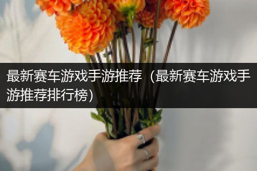 最新赛车游戏手游推荐（最新赛车游戏手游推荐排行榜）