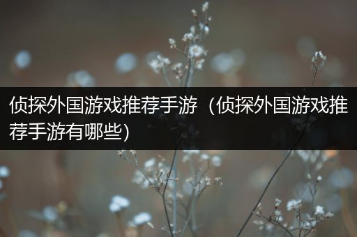 侦探外国游戏推荐手游（侦探外国游戏推荐手游有哪些）