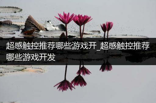超感触控推荐哪些游戏开_超感触控推荐哪些游戏开发