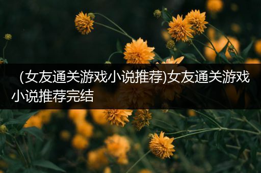 （女友通关游戏小说推荐)女友通关游戏小说推荐完结