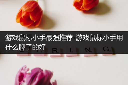 游戏鼠标小手最强推荐-游戏鼠标小手用什么牌子的好