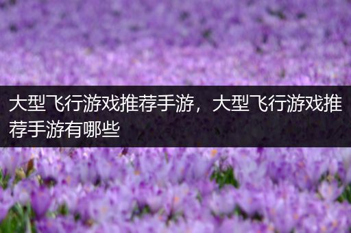 大型飞行游戏推荐手游，大型飞行游戏推荐手游有哪些