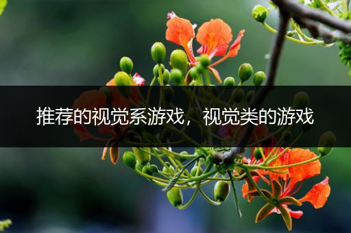 推荐的视觉系游戏，视觉类的游戏