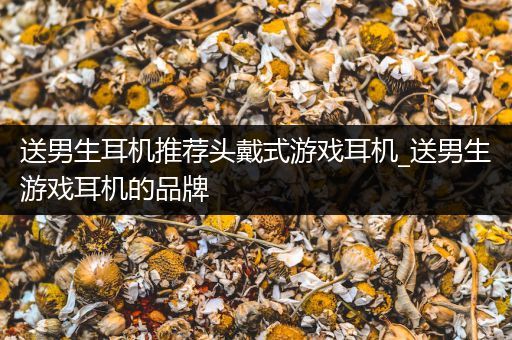 送男生耳机推荐头戴式游戏耳机_送男生游戏耳机的品牌