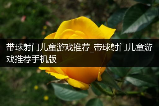 带球射门儿童游戏推荐_带球射门儿童游戏推荐手机版