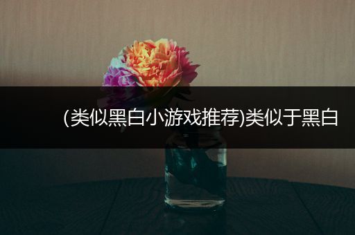 （类似黑白小游戏推荐)类似于黑白