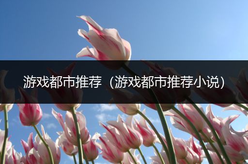 游戏都市推荐（游戏都市推荐小说）