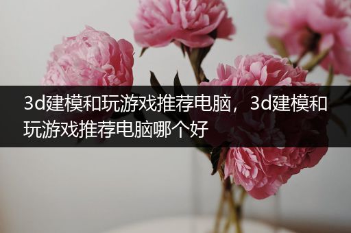 3d建模和玩游戏推荐电脑，3d建模和玩游戏推荐电脑哪个好