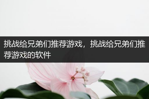 挑战给兄弟们推荐游戏，挑战给兄弟们推荐游戏的软件