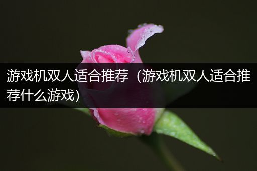游戏机双人适合推荐（游戏机双人适合推荐什么游戏）