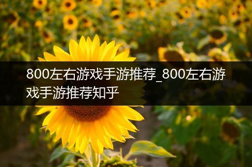 800左右游戏手游推荐_800左右游戏手游推荐知乎