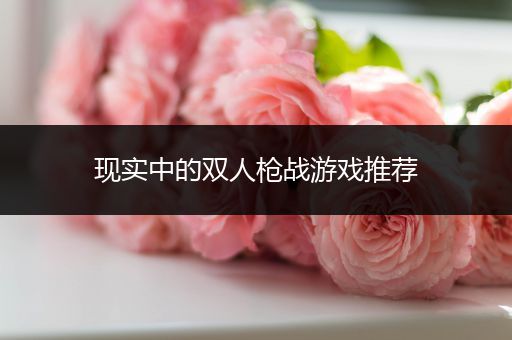 现实中的双人枪战游戏推荐