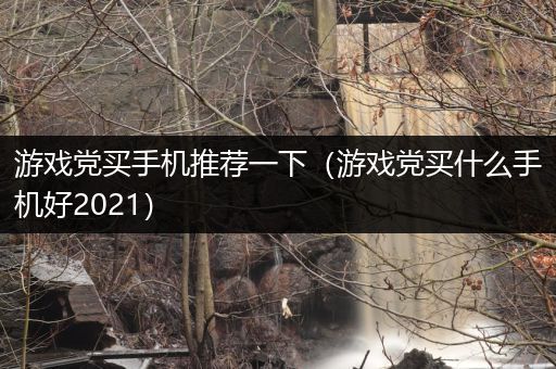 游戏党买手机推荐一下（游戏党买什么手机好2021）