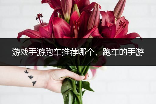 游戏手游跑车推荐哪个，跑车的手游