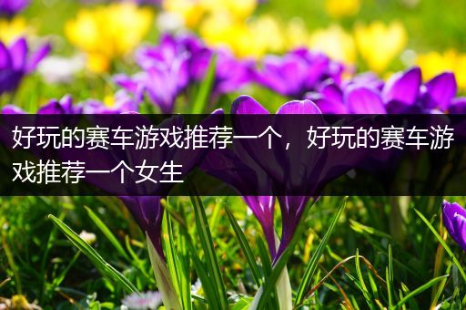 好玩的赛车游戏推荐一个，好玩的赛车游戏推荐一个女生
