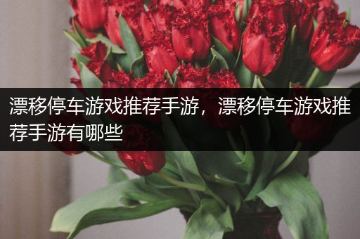 漂移停车游戏推荐手游，漂移停车游戏推荐手游有哪些