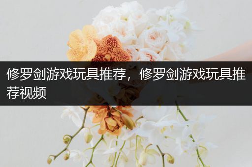 修罗剑游戏玩具推荐，修罗剑游戏玩具推荐视频
