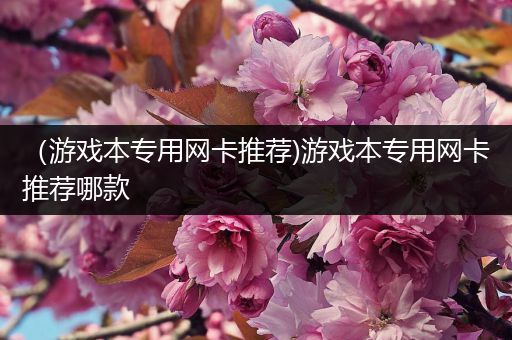 （游戏本专用网卡推荐)游戏本专用网卡推荐哪款
