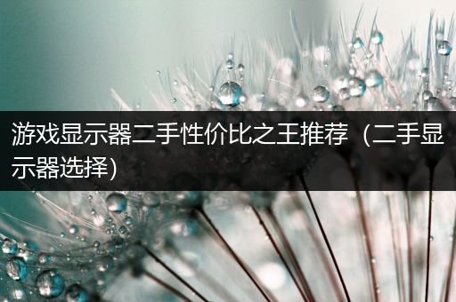 游戏显示器二手性价比之王推荐（二手显示器选择）
